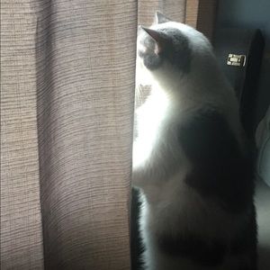 Meet your Posher, Natalie